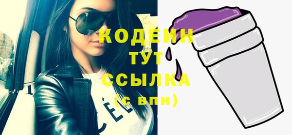 хмурый Инсар