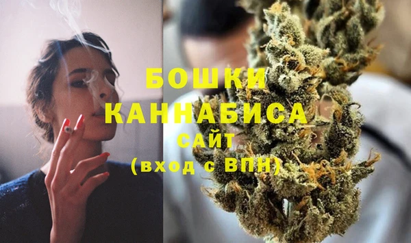 крисы Баксан