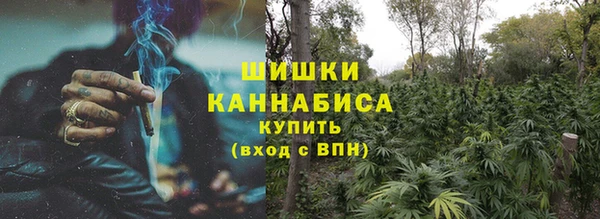 крисы Баксан