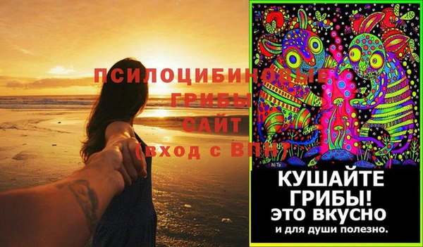 крисы Баксан