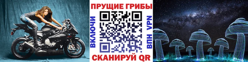 Псилоцибиновые грибы Psilocybe  Петровск 